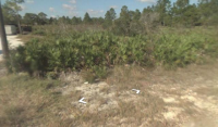 2103 Scott Ave, Alva, FL 33920 