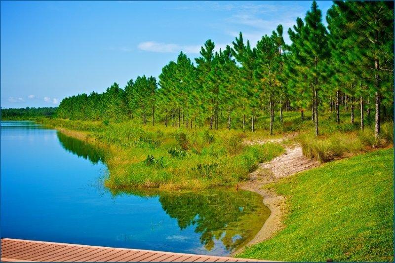 4105 Marsh Road #1/2, Deland, FL 32724 