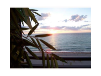 3505 OCEAN DR/SEASON OK # 1120, Hollywood, Florida 33019 
