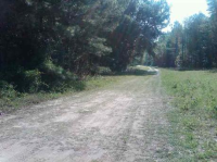 Apn R06313-205/210/215, Perry, FL 32359 