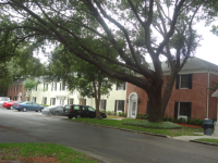 13824 Orange Sunset Dr, Tampa, FL 33618 