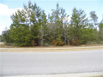 104 Lake Merial Trl (Apn# 07504-242, Panama City, FL 32409 