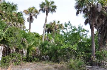 67 &amp; 69 Palm Drive, Placida, FL 33946 