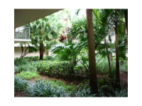 10525 SW 112 AV # 213, Miami, Florida 33176 