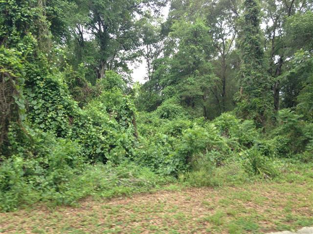 Bluebonnet Ter, Inverness, FL 34452 