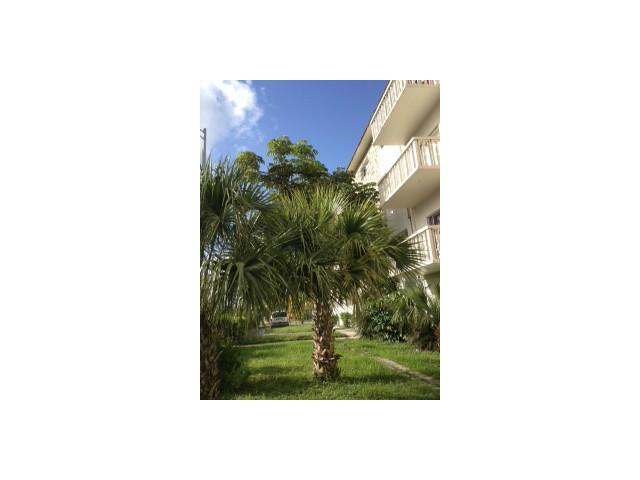 12955 NE 6 AVE # 214, Miami, Florida 33161 