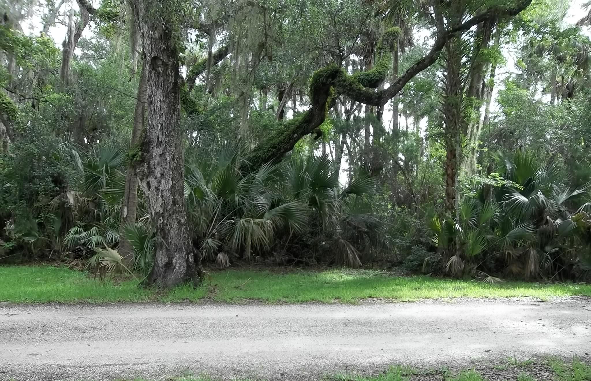 1640 Park Trail, Deltona, FL 32725 