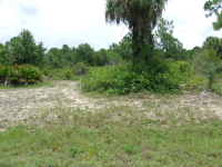 6046 Pecan Circle, Labelle, FL 33935 