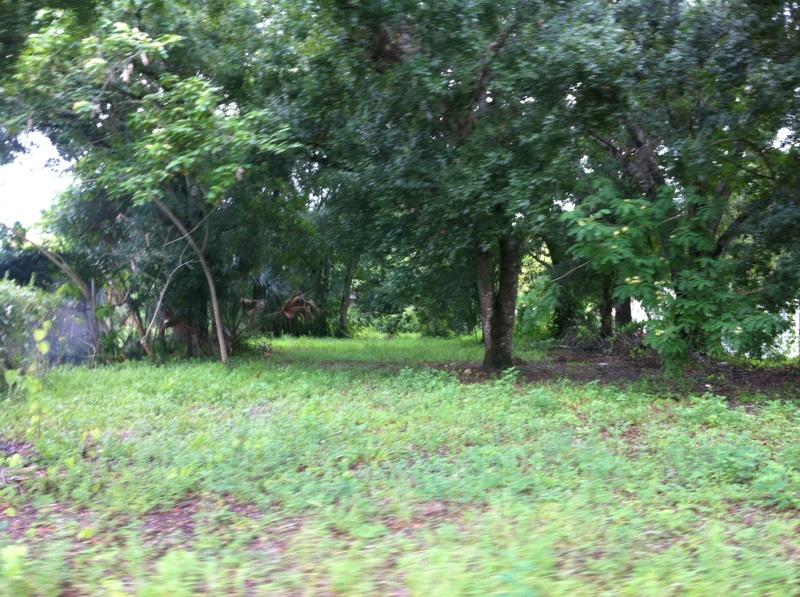 1118 Luray Ave, Fort Myers, FL 33916 