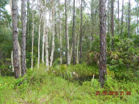 10301 Tigress Lane, Bonita Springs, FL 34135 