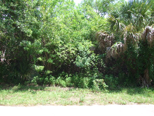 872 Serenade Street Nw, Palm Bay, FL 32907 