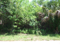 872 Serenade Street Nw, Palm Bay, FL 32907 