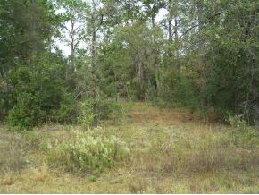100 59th Ln, Dunnellon, FL 34431 