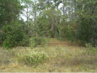 100 59th Ln, Dunnellon, FL 34431 