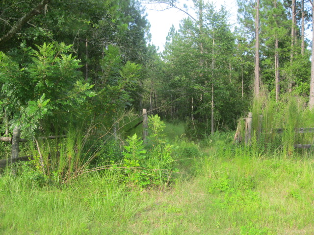 5950 Plantation Ct, Keystone Heights, FL 32656 