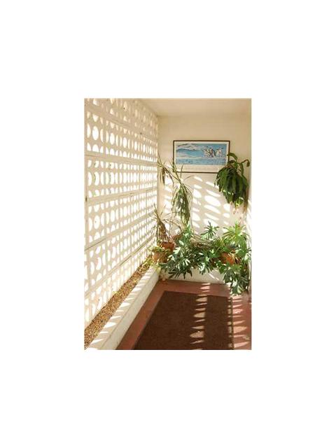 1425 Arthur St # 314B, Hollywood, Florida 33020 