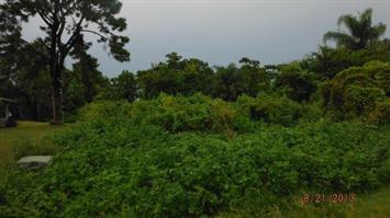 2582 Abell, Lake Placid, FL 33852 