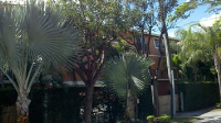 240 Sw 15 Road #106, Miami, FL 33129 