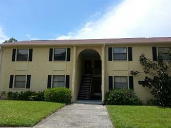 7522 Dolonita Drive, Tampa, FL 33615 