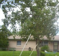 1204 Lake Downey Dr, Orlando, FL 32825 