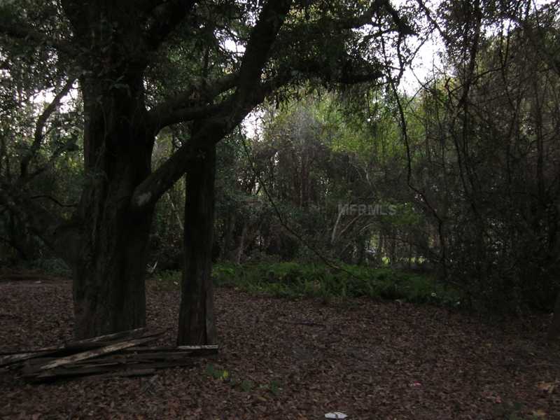 Timberwood Drive, Tampa, FL 33625 