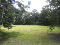 15401 OTTO RD, Tampa, FL 33624 