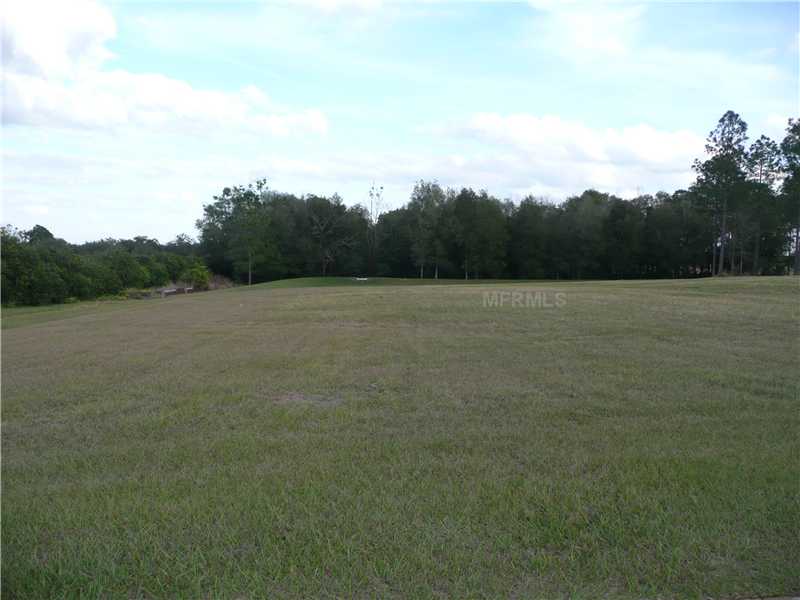 14754 VISTA VIEW CT, Dade City, FL 33523 