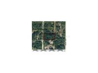 OTTER, Ridge Manor, FL 33523 