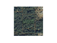 6806 Misty Hollow Ct, Seffner, FL 33584 