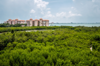 4750 DOLPHIN CAY LN # 408, Saint Petersburg, FL 33711 