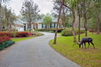 23189 Turkey Trot Lane, Brooksville, FL 23189 