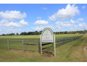 11280 NE 36th Avenue, Anthony, FL 11280 