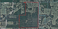 NW HWY 318, Reddick, FL 32686 