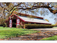 4000 NW 165, Reddick, FL 32686 