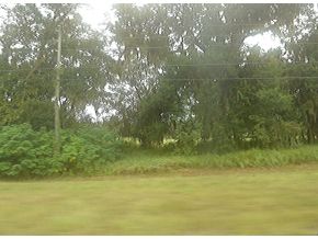 SE US HWY 441, Belleview, FL 34420 