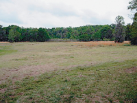 6750 NW HWY 320, Mc Intosh, FL 32664 