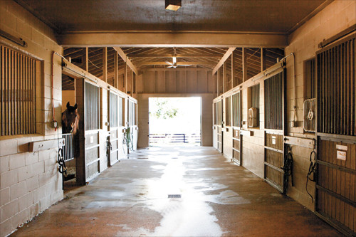 1767 E HWY 316, Citra, FL 32113 