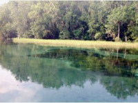 9045 SW 190 AVE, Dunnellon, FL 34432 