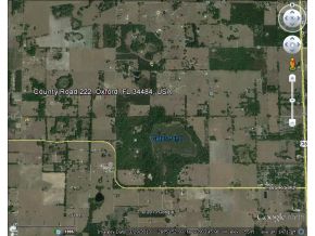 CR 222, Oxford, FL 34484 