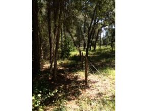 4279 CR 507, Wildwood, FL 34785 