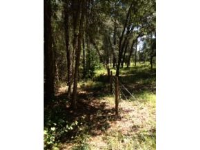 4279 CR 507, Wildwood, FL 34785 