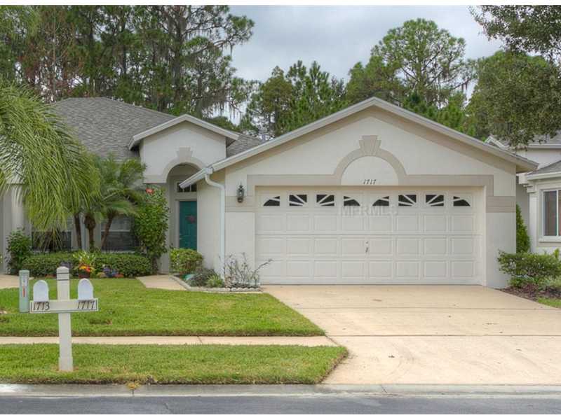 1717 SASSAFRAS DR, Wesley Chapel, FL 33543 