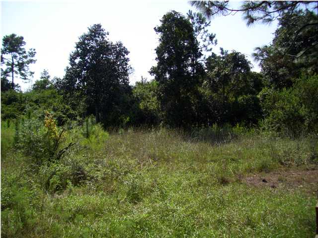 00 TEXAS STREET, Alford, FL 32420 