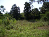 00 TEXAS STREET, Alford, FL 32420 