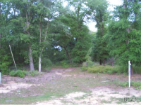 00 SORRENTO AVENUE, Alford, FL 32420 