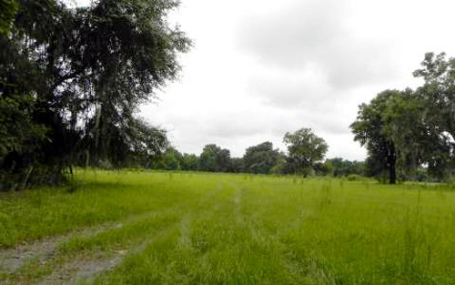 SE 113TH BLVD, Jasper, FL 32052 