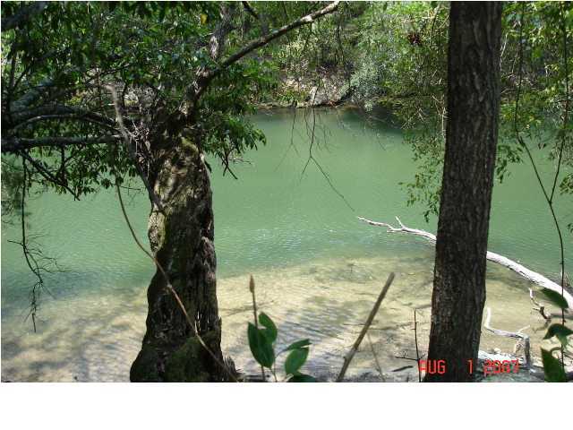 20324 Misty Lane, Altha, FL 20324 