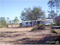 4539 WHITE LN, Altha, FL 32421 