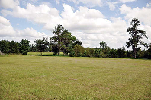 STATE ROAD 238, Lake Butler, FL 32054 