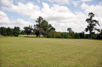 STATE ROAD 238, Lake Butler, FL 32054 